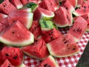 Watermelon Contest