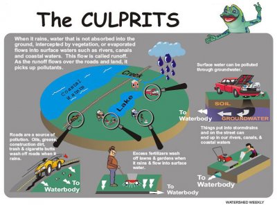 The Culprits- Stormwater Pollution Sources