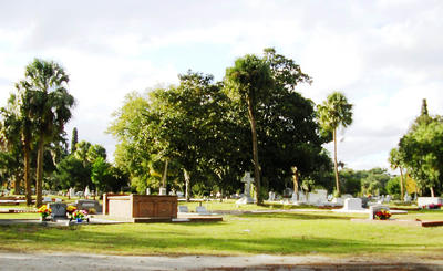 Angle View