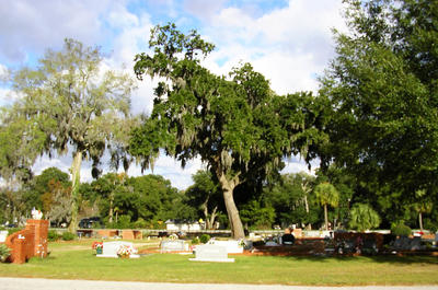Side View of Palmetto Cemetery